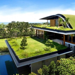 Na výstavbu zelených střech půjdou miliardy korun