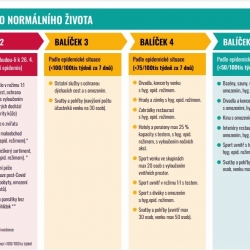 Představujeme plán kroků pro obnovování dosud omezených činností při ústupu epidemie covid-19