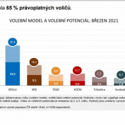 Volební průzkum březen 2021