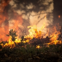 Loni hořela v Česku největší plocha lesů za deset let, Požár u Hřenska se asi rozšířil, hasiči objevili nové ohnisko