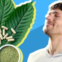 Osm poslanců navrhlo podmínky pro nakládání s kratomem