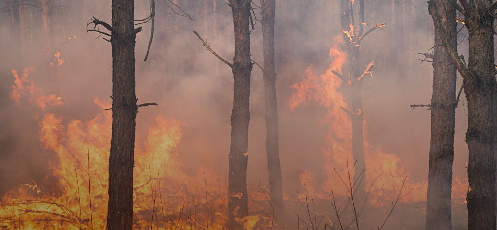 Meteorologové vydali výstrahu před požáry, platí pro celou ČR