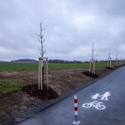 Město Nepomuk otevřelo první část cyklostezky na Borek