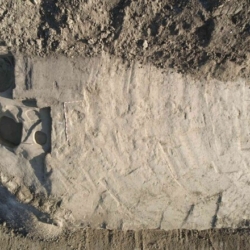 Nevsedni objev archeologu v Orechove na Uherskohradistsku 1 Nevšední objev archeologů v Ořechově na Uherskohradišťsku